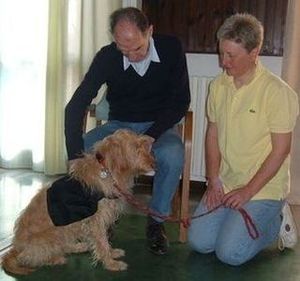 koinè ONLUS - Pet therapy