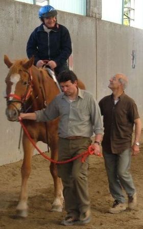 koinè - Riabilitazione equestre