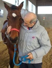 koinè ONLUS - Riabilitazione equestre