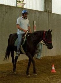 koinè ONLUS - Riabilitazione equestre