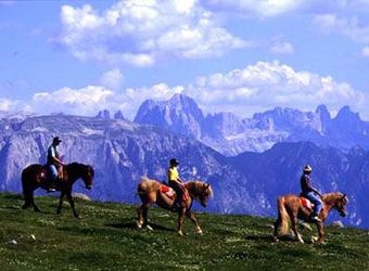 Cavalli al passo