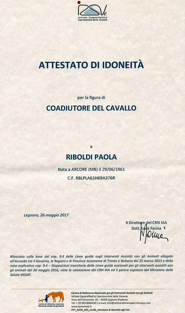 Coadiutore del cavallo