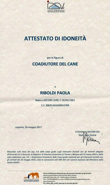 Coadiutore del cane