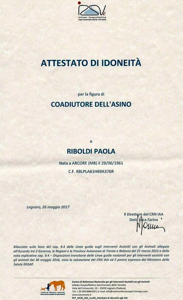 Coadiutore dell'asino